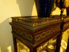 Louis 16 style Displaycabinet very high quality in wood and gilded bronzes, France 1880