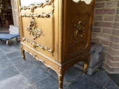 Louis 15 style Gilded displaycabinet in gilded wood, France 1900