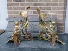 Louis 15 style Pair fireplace inserts with cherubs putto,s in gilded bronze, France 1870