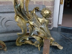 Louis 15 style Pair fireplace inserts with cherubs putto,s in gilded bronze, France 1870