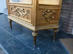 Louis 16 style Display cabinet/ vitrine in gilded wood, Italy 1890