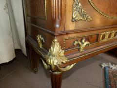 Louis 16 style Display cabinet vitrine in gilded bronzes and satinwood with red marble top, France 1880