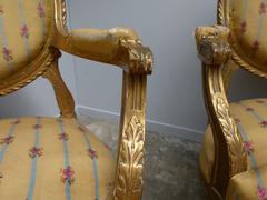 Louis 16 style Pair armchairs in gilded wood, France 1880