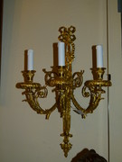 Louis 16 style Pair wall sconses in gilded bronze , France 1900