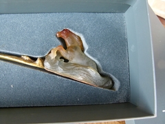 Modern style Daum France signed brief opener with a horse in pates de verre and bronze, France 1970