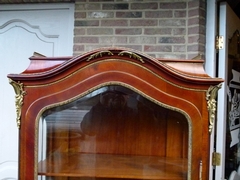 Napoleon III style Display cabinet vitrine  in different wood and gilded bronze , France 1890