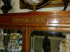 Napoleon III, Linke styl style Display cabinet with curved glass in different woods,satinwood,rosewood and gilded bronze, France 1880