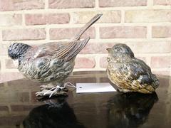 style Pair Vienna bronzes of birds in cold painted bronze, Austria,Vienna 1920