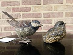 style Pair Vienna bronzes of birds in cold painted bronze, Austria,Vienna 1920