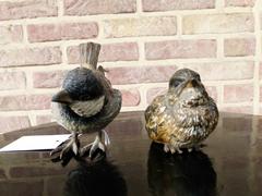 style Pair Vienna bronzes of birds in cold painted bronze, Austria,Vienna 1920